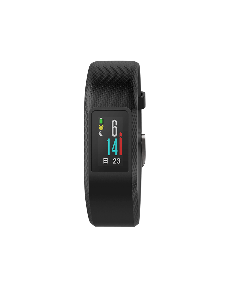 vívofitness Garmin