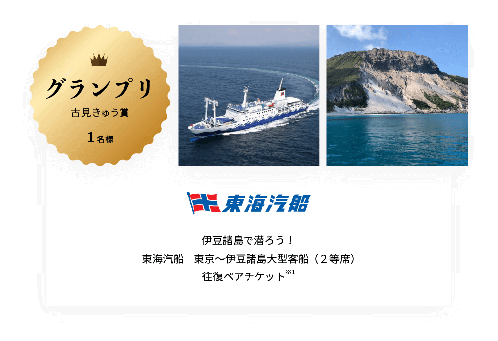 東海汽船　東京～伊豆諸島大型客船（２等席）往復ペアチケット※2