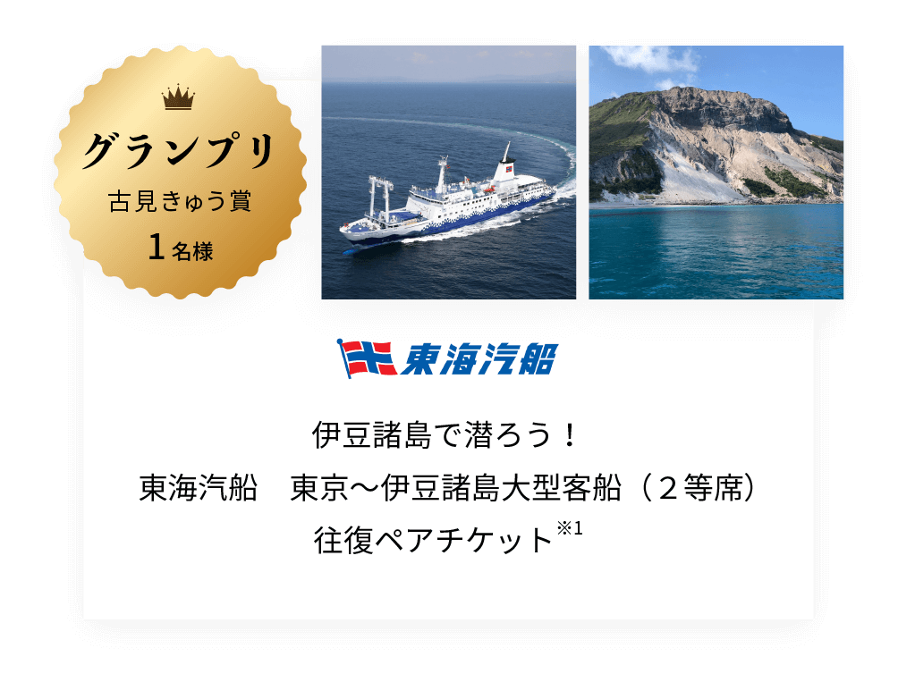 東海汽船　東京～伊豆諸島大型客船（２等席）往復ペアチケット※2