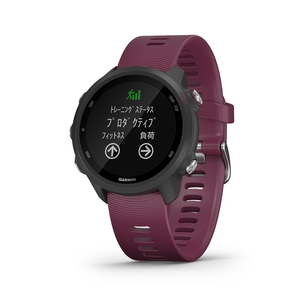 限定品 GARMIN ForeAthlete 245 Music Japan