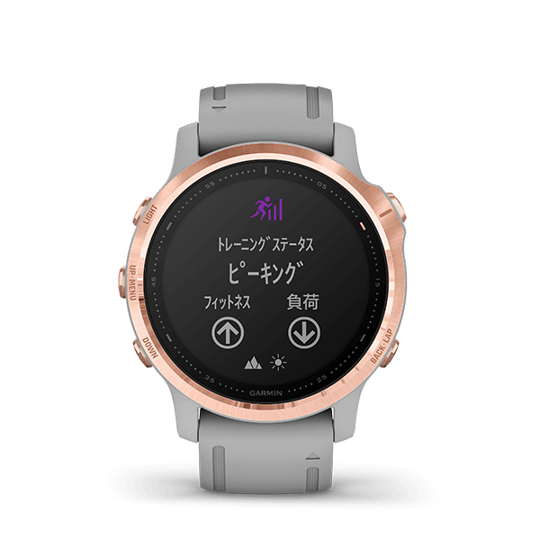 Garmin fenix6s Sapphire Black DLC