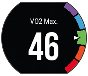 FA235J VO2Max