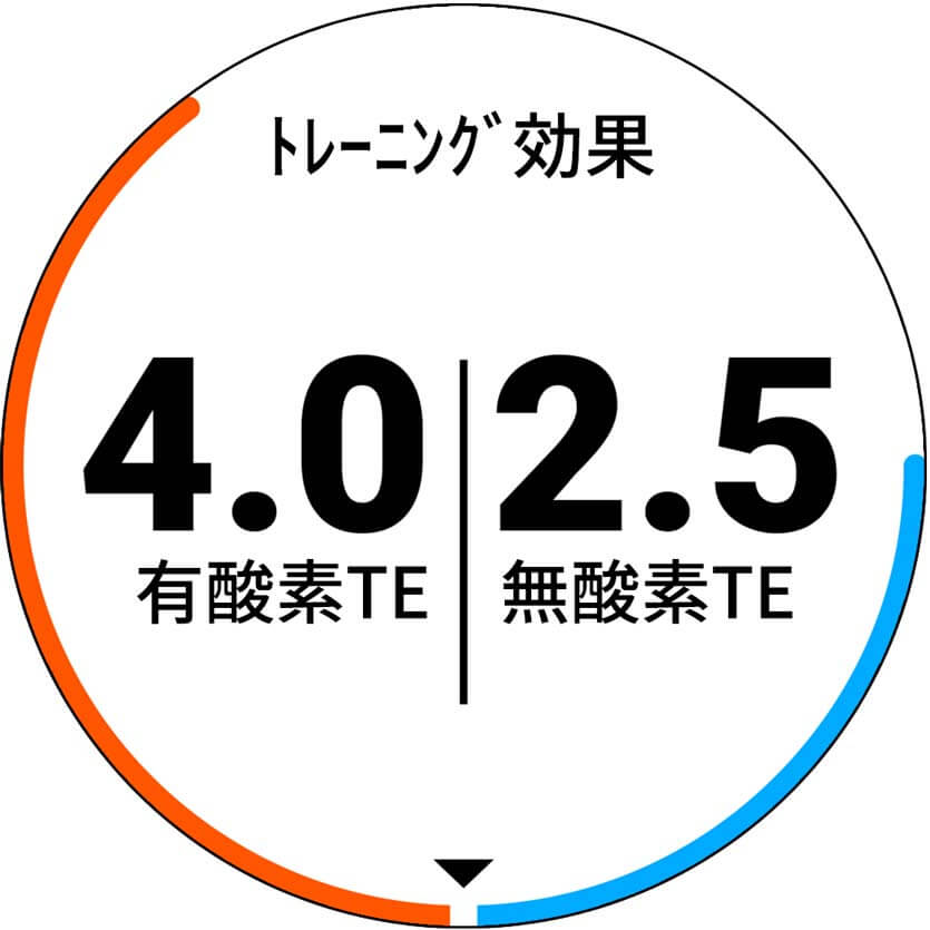 ForeAthlete 245 | スポーツ＆アウトドア | Garmin 日本