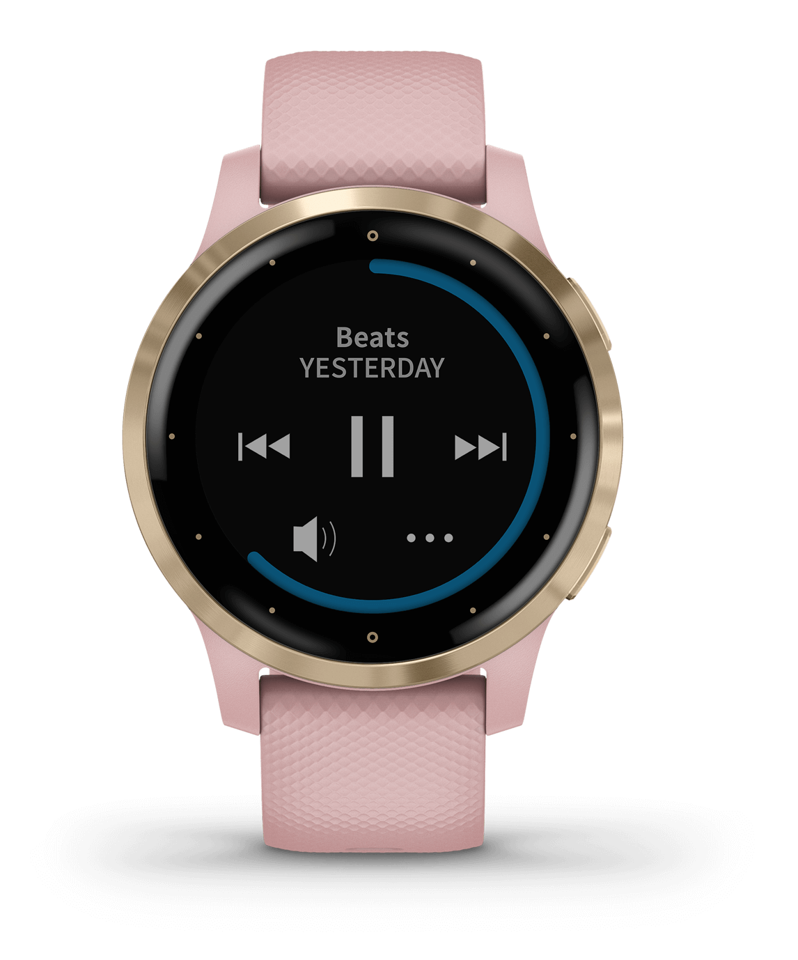 美品 保証付き Garmin ガーミン vivoactive4s suica対応