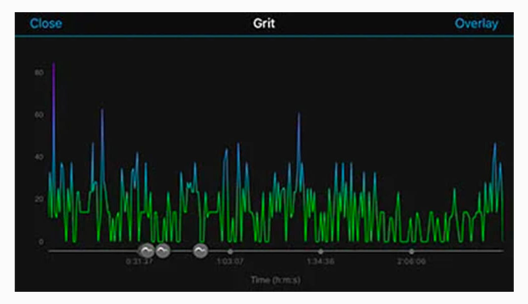 Grit screen