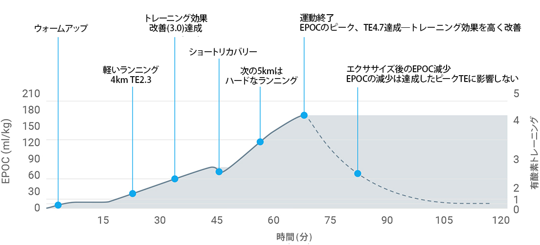 A graph showing excess post-exercise consumption derived from heart rate data during exercise.