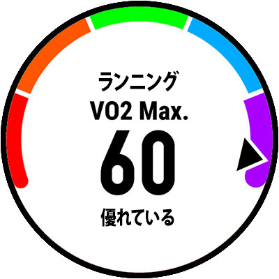 A watch screen showing VO2 max.