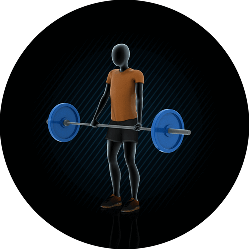 screen-animation.png